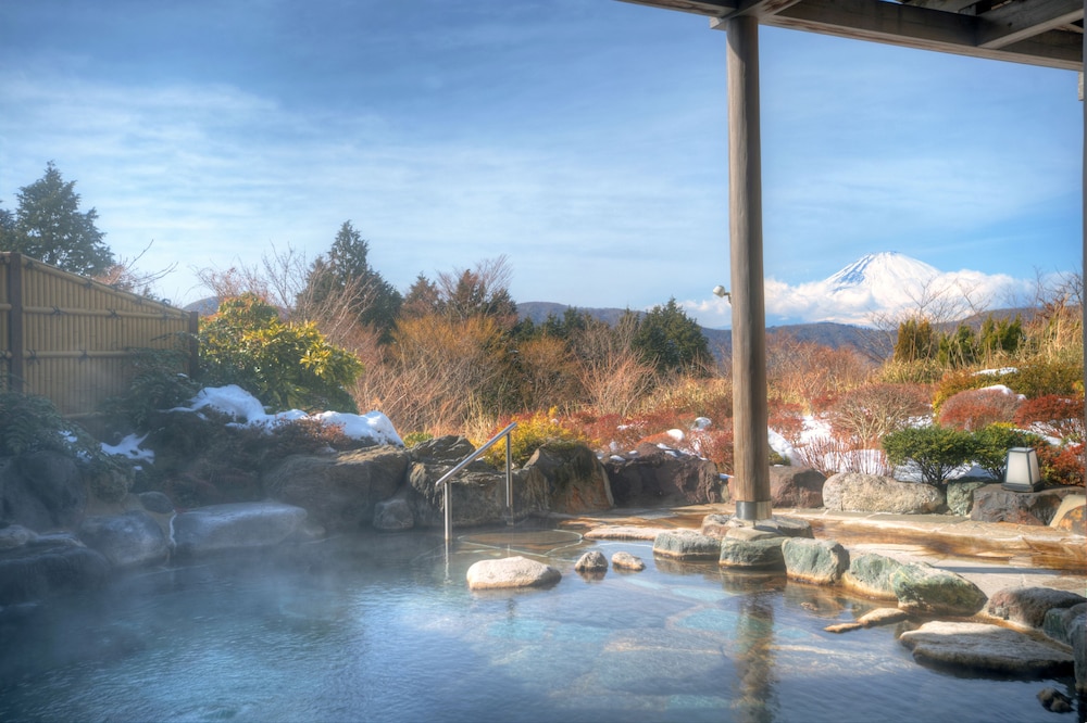 ホテルグリーンプラザ箱根 箱根