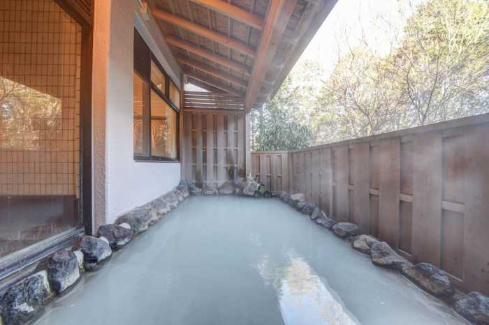 TOP RESORT 箱根温泉 悟空の宿 箱根
