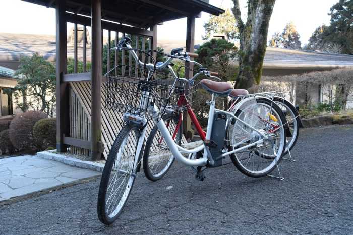 TOP RESORT 箱根温泉 悟空の宿 箱根