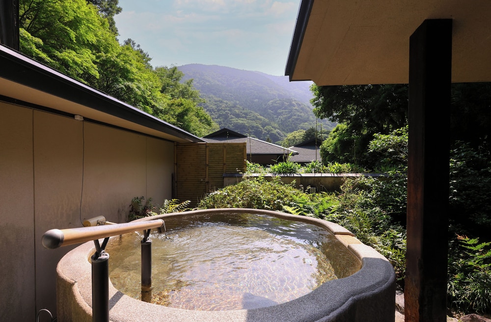 海石榴 (つばき) 箱根