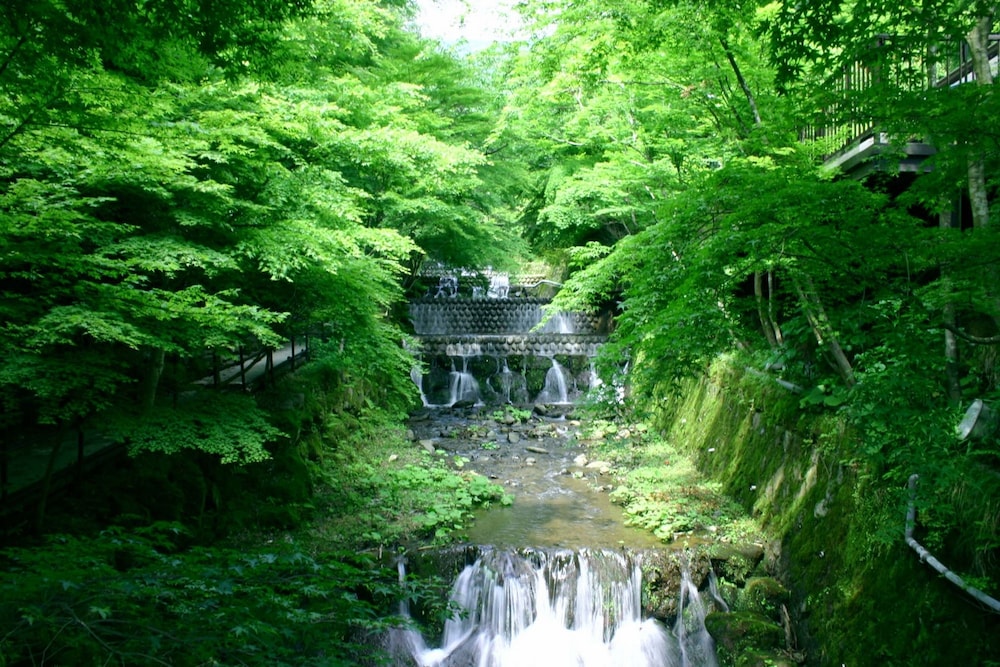 海石榴 (つばき) 箱根