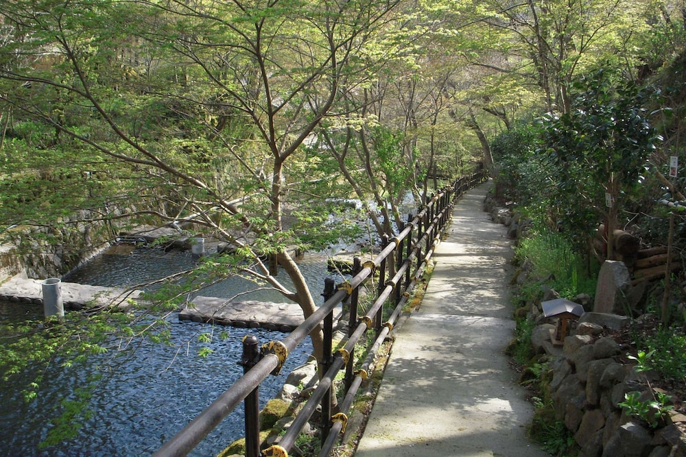 海石榴 (つばき) 箱根