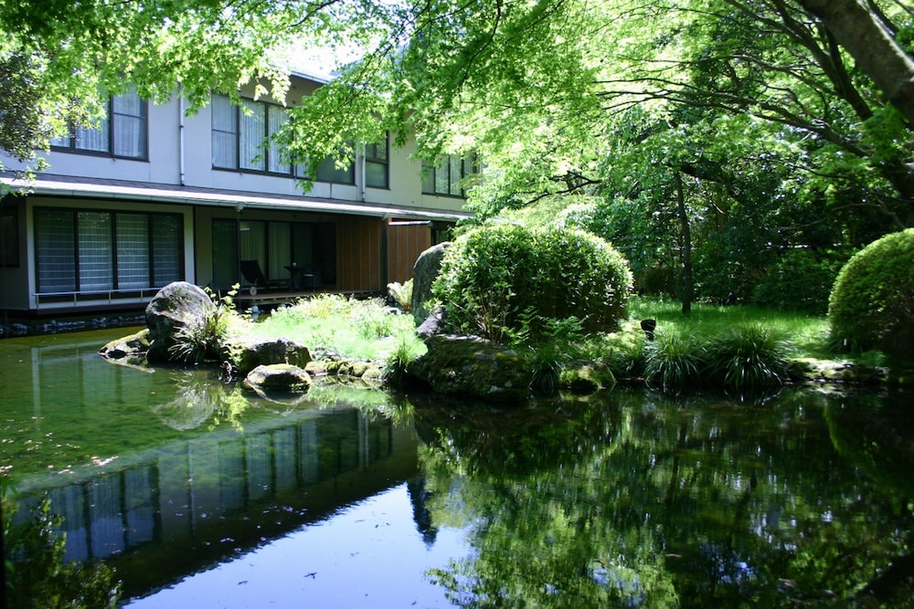 海石榴 (つばき) 箱根