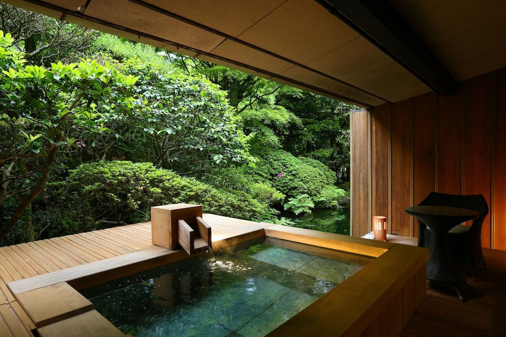 海石榴 (つばき) 箱根