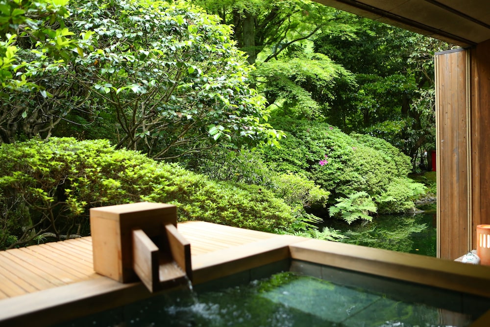 海石榴 (つばき) 箱根