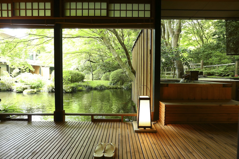 海石榴 (つばき) 箱根