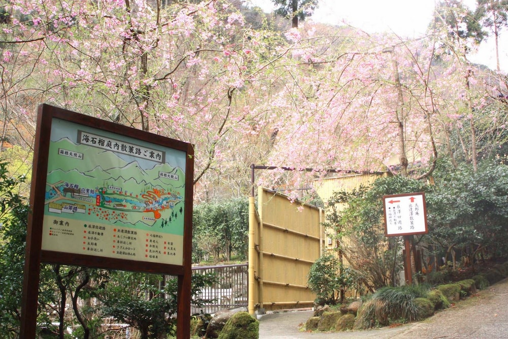 海石榴 (つばき) 箱根