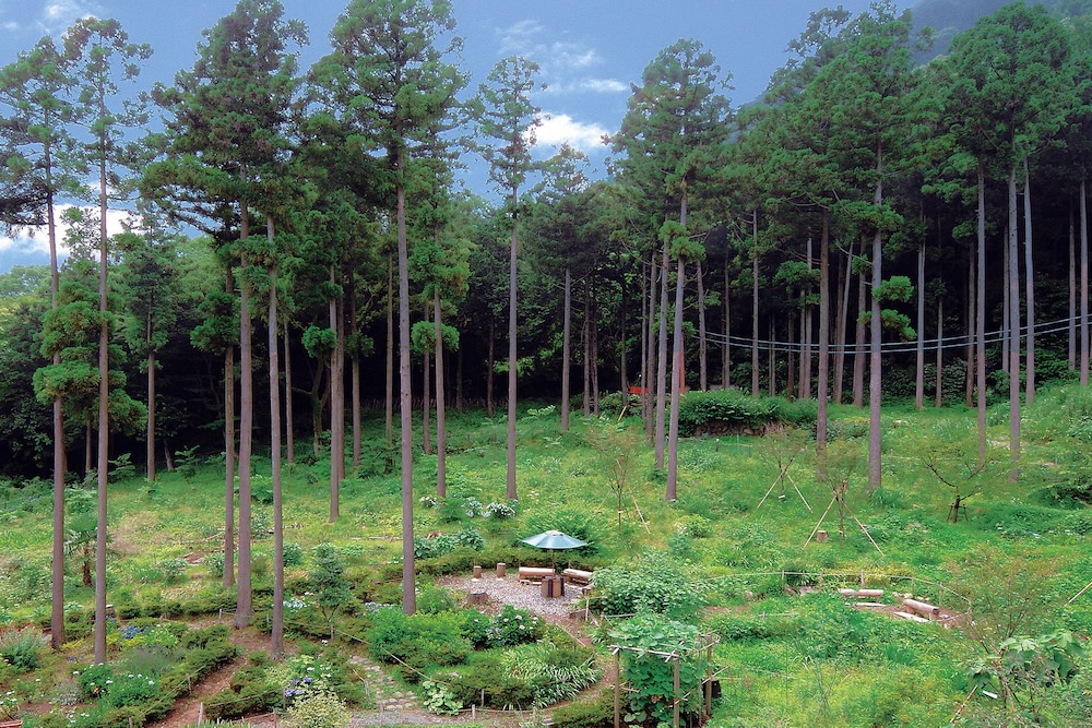 箱根の森おかだ 箱根