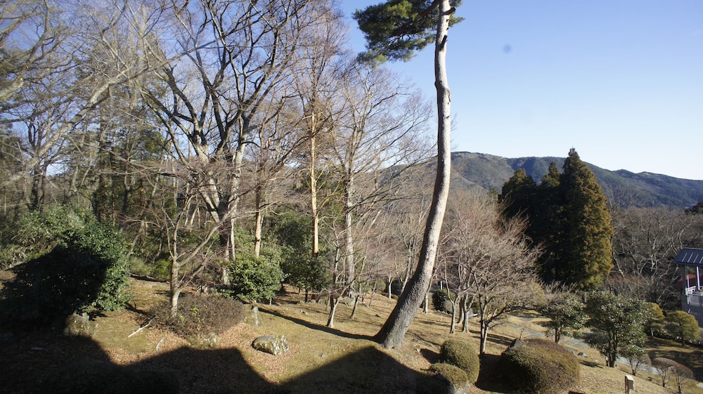 ウィスタリアンライフクラブ ヴェルデの森 箱根