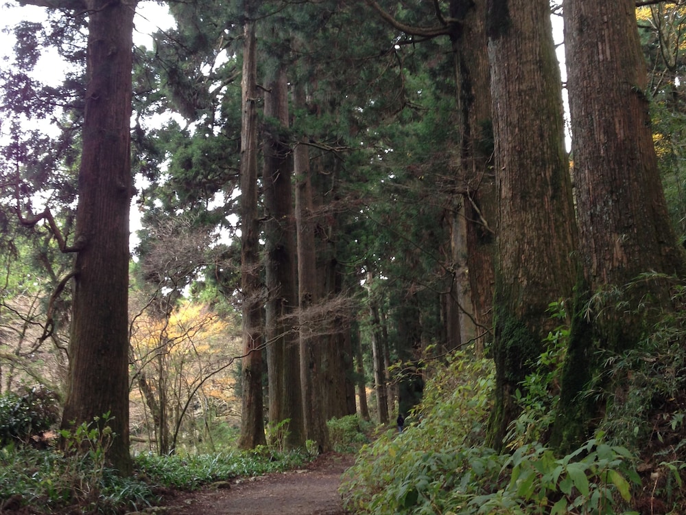 福島館 箱根