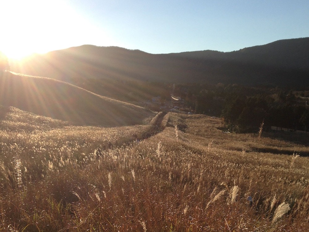 福島館 箱根