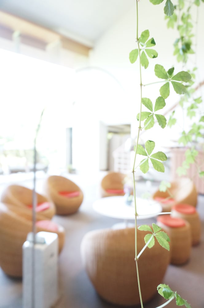 楽々花 箱根
