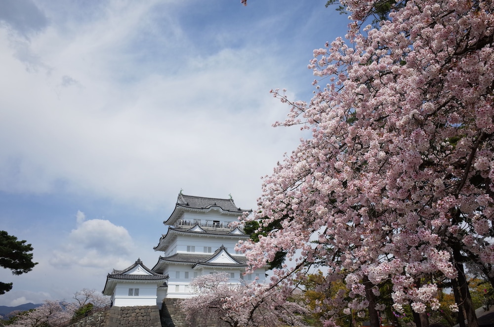 日乃出旅館 箱根