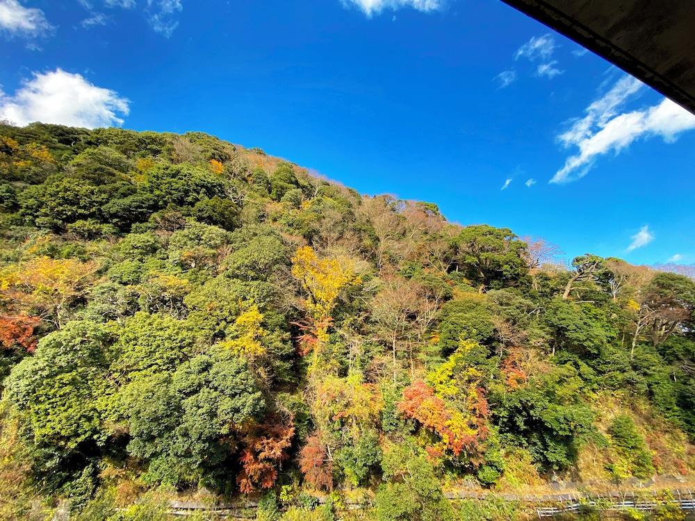 箱根 パークス吉野 箱根