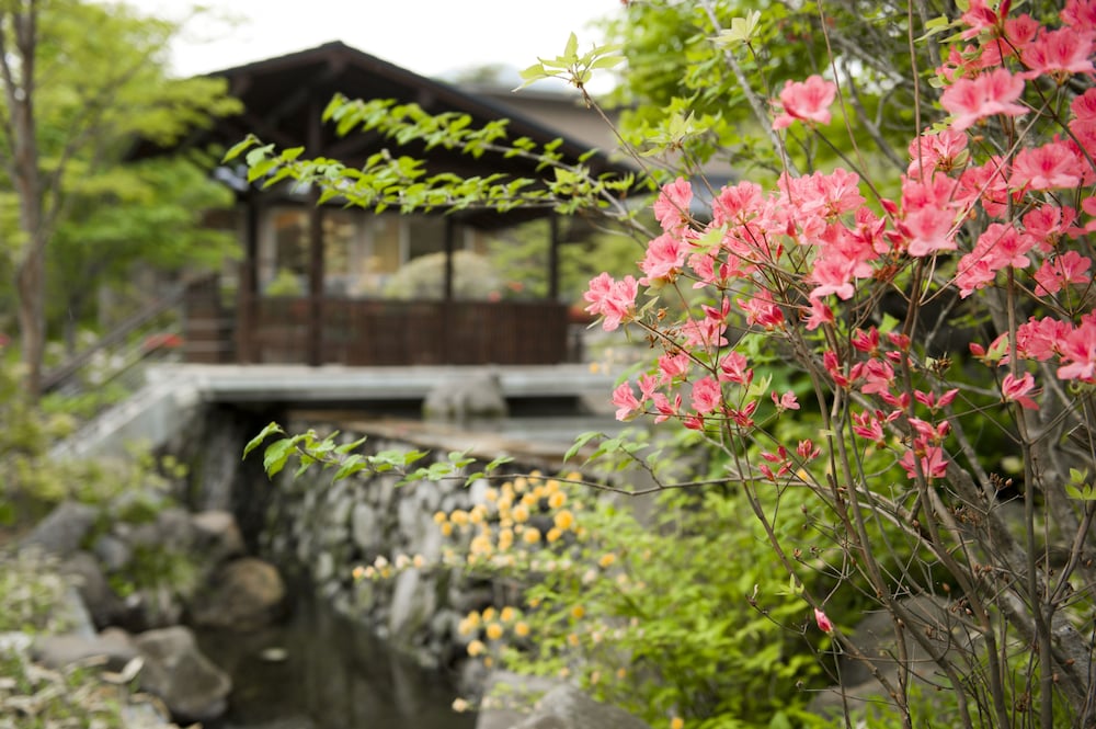 箱根翡翠 箱根