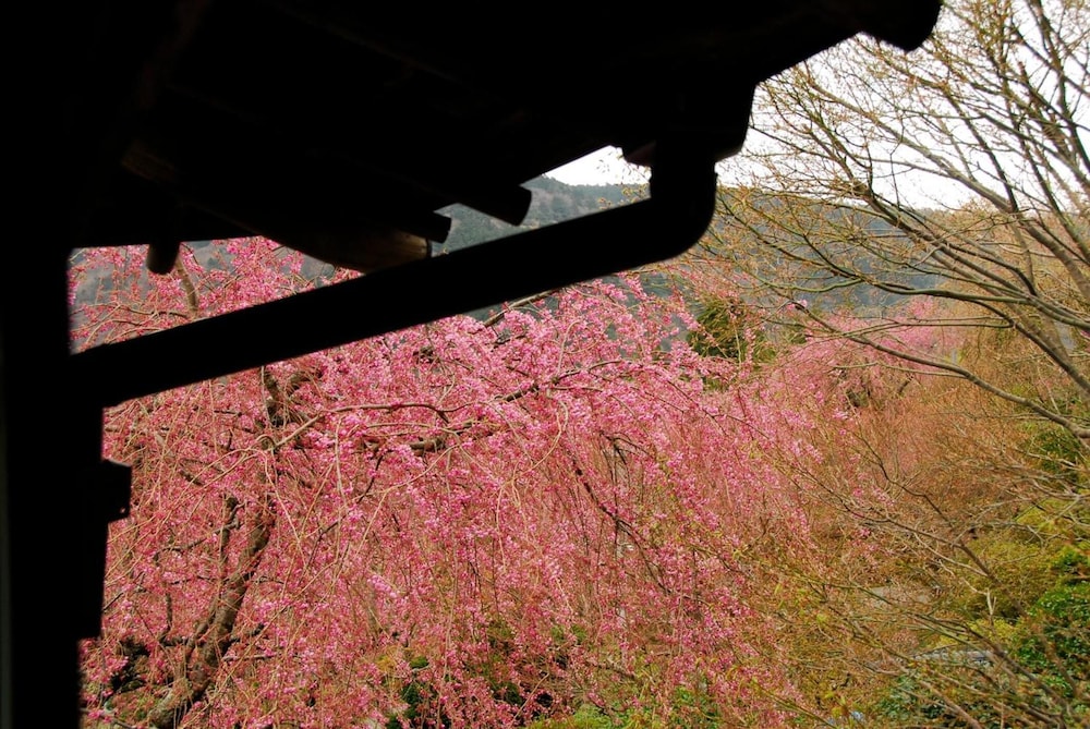 箱根小涌園 三河屋旅館 箱根