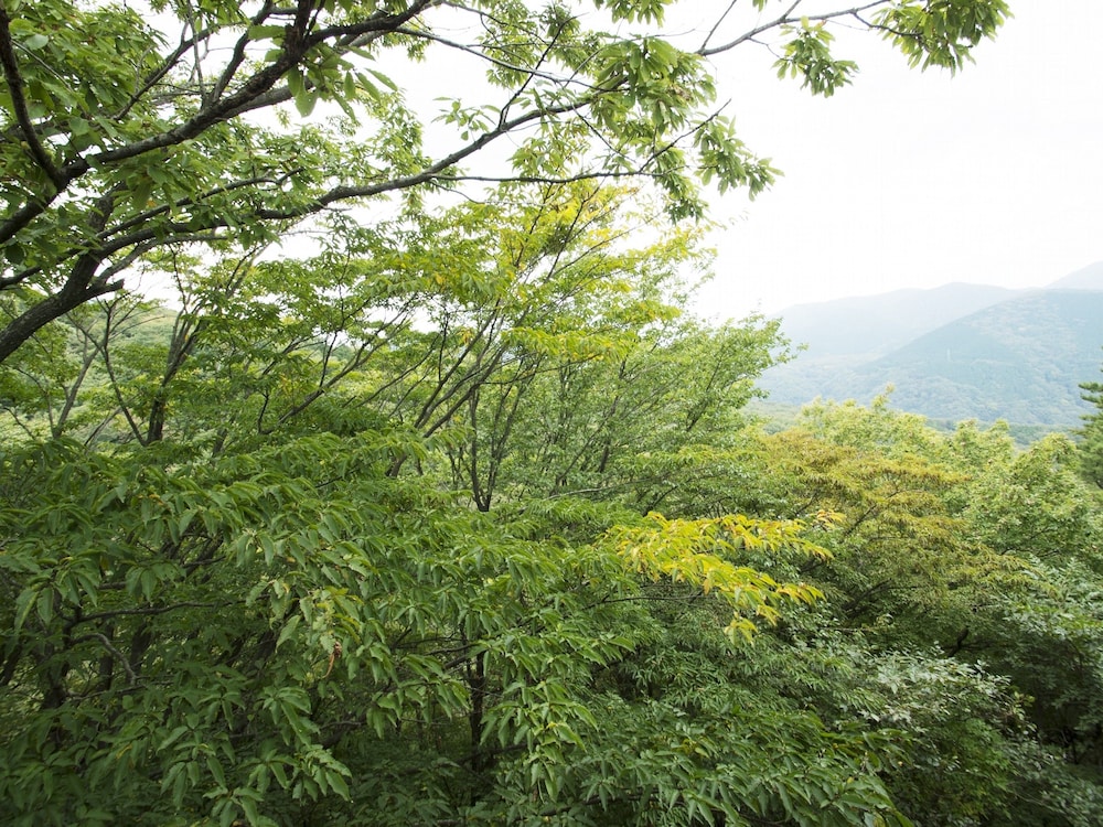 強羅花扇 円かの杜 箱根