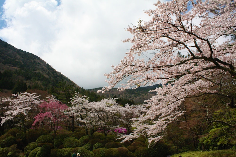 箱根小涌園 天悠 箱根