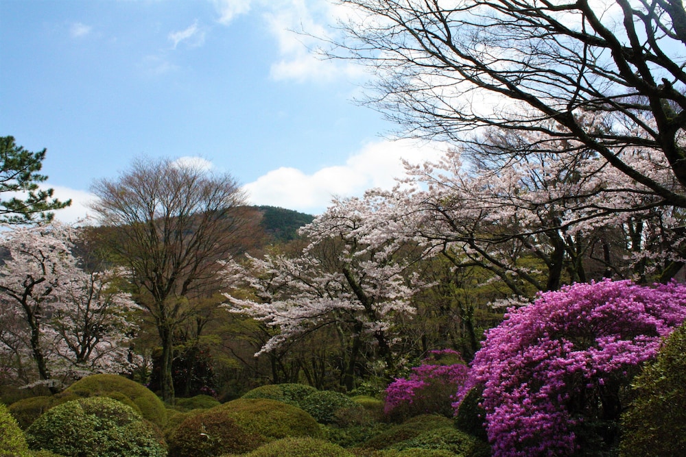 箱根小涌園 天悠 箱根