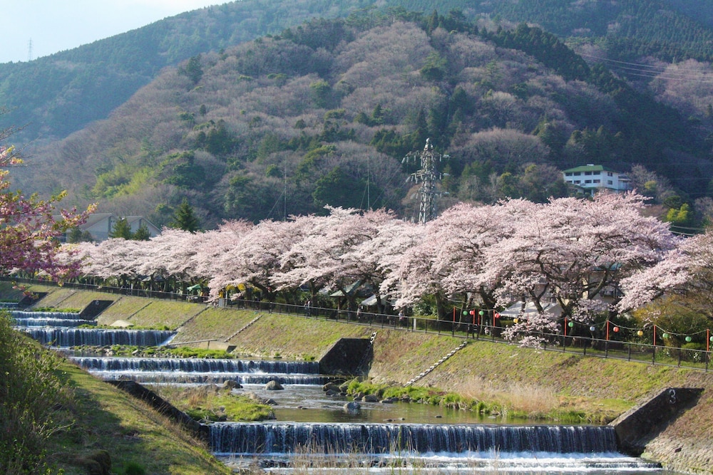 箱根小涌園 天悠 箱根