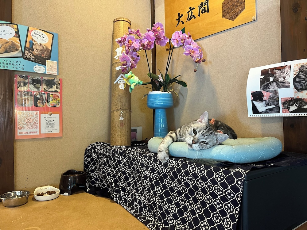 温泉旅館みたけ 箱根