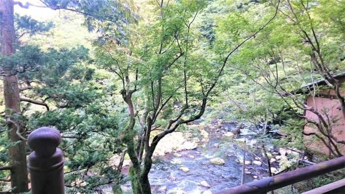 元湯 環翠楼 箱根