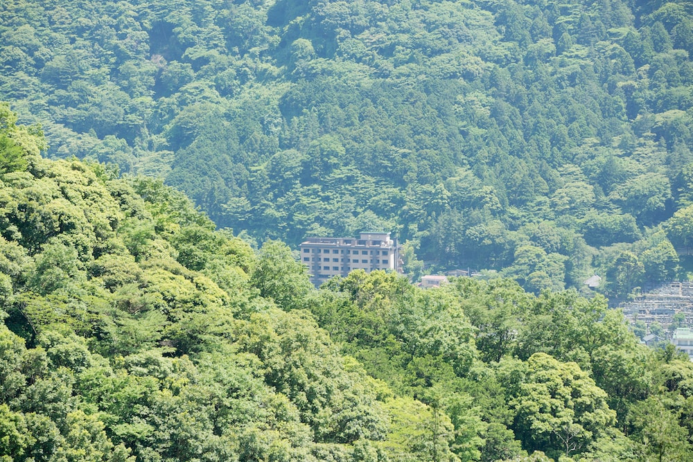 あうら橘 箱根