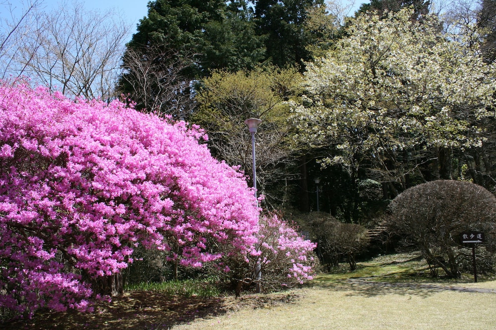 仙郷楼 箱根