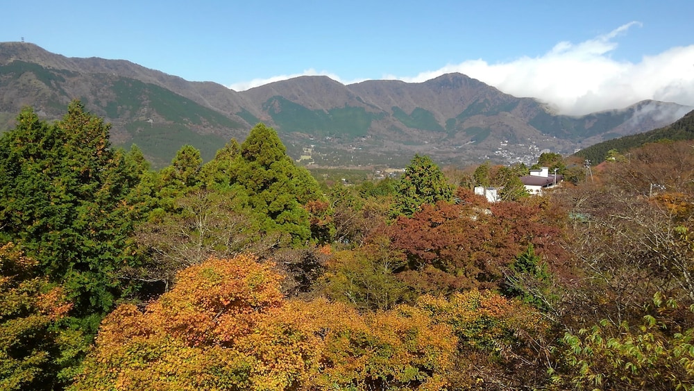 OYO 旅館 長寿湯 箱根仙石原 箱根
