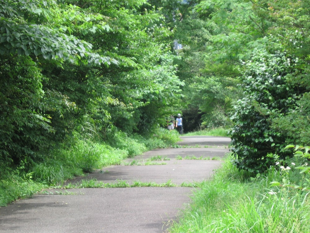 ホテル花月園 箱根