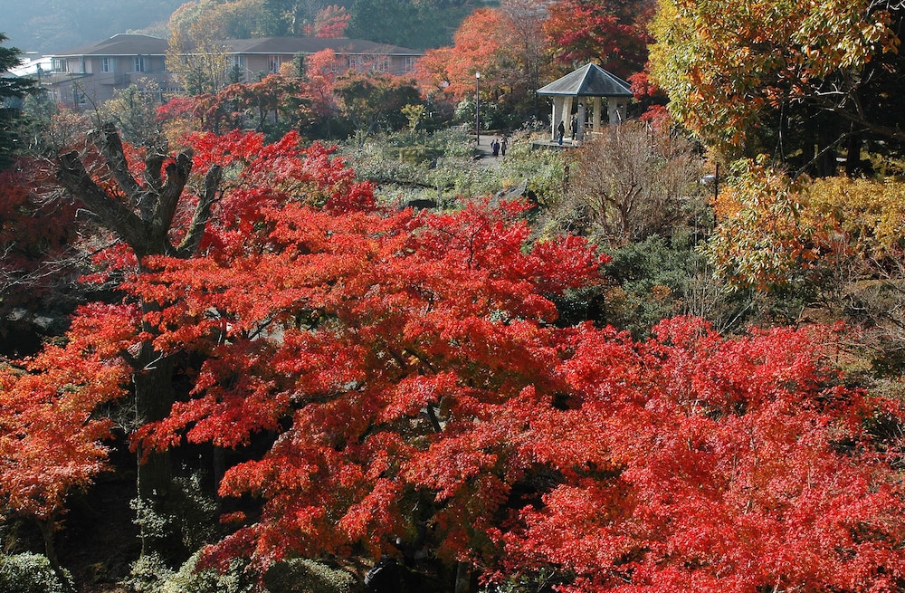 翠光館 箱根