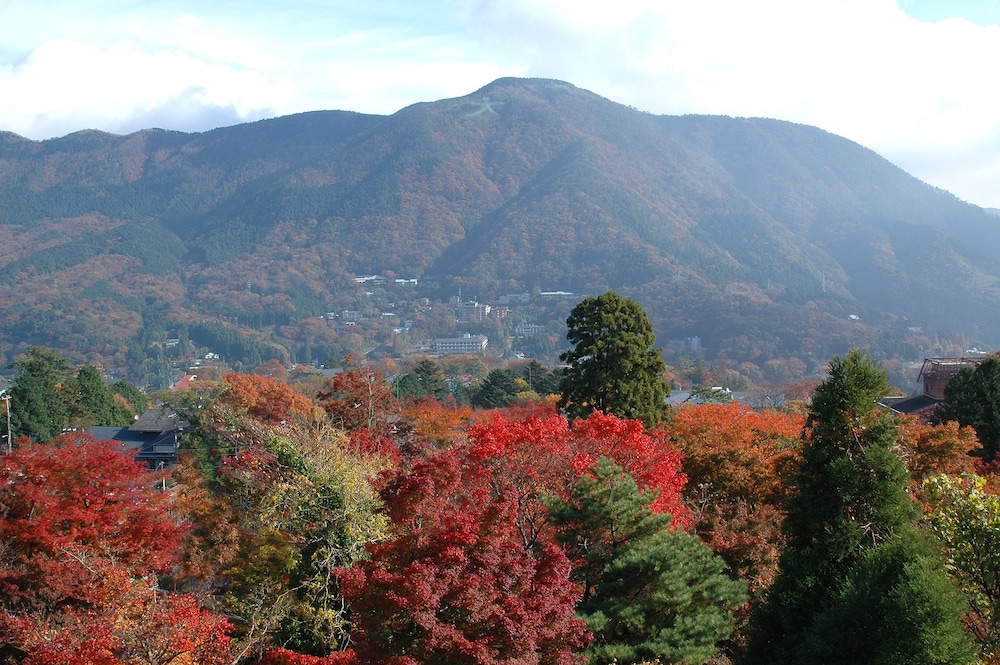 翠光館 箱根