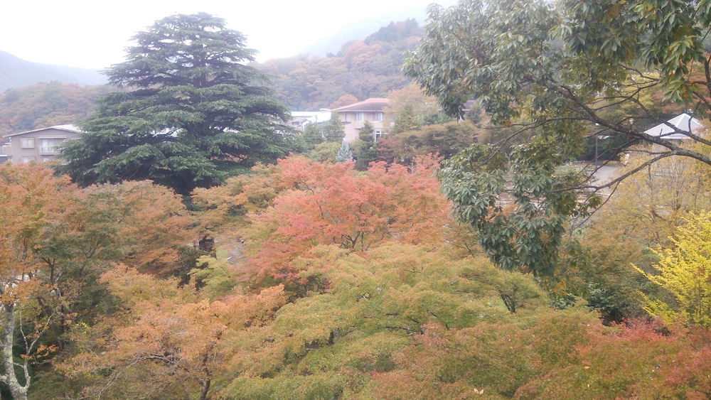 翠光館 箱根