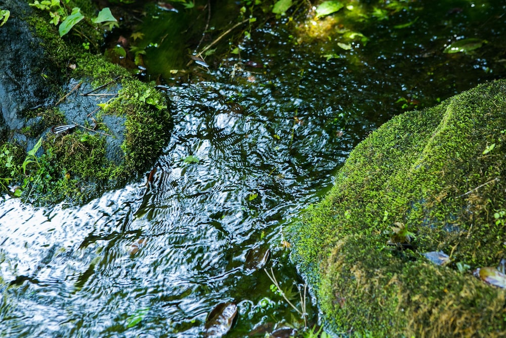 ゆがわら万葉荘 箱根