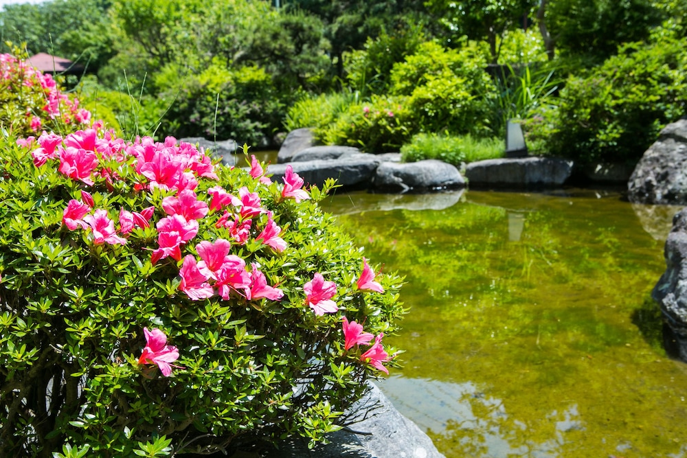 ゆがわら万葉荘 箱根