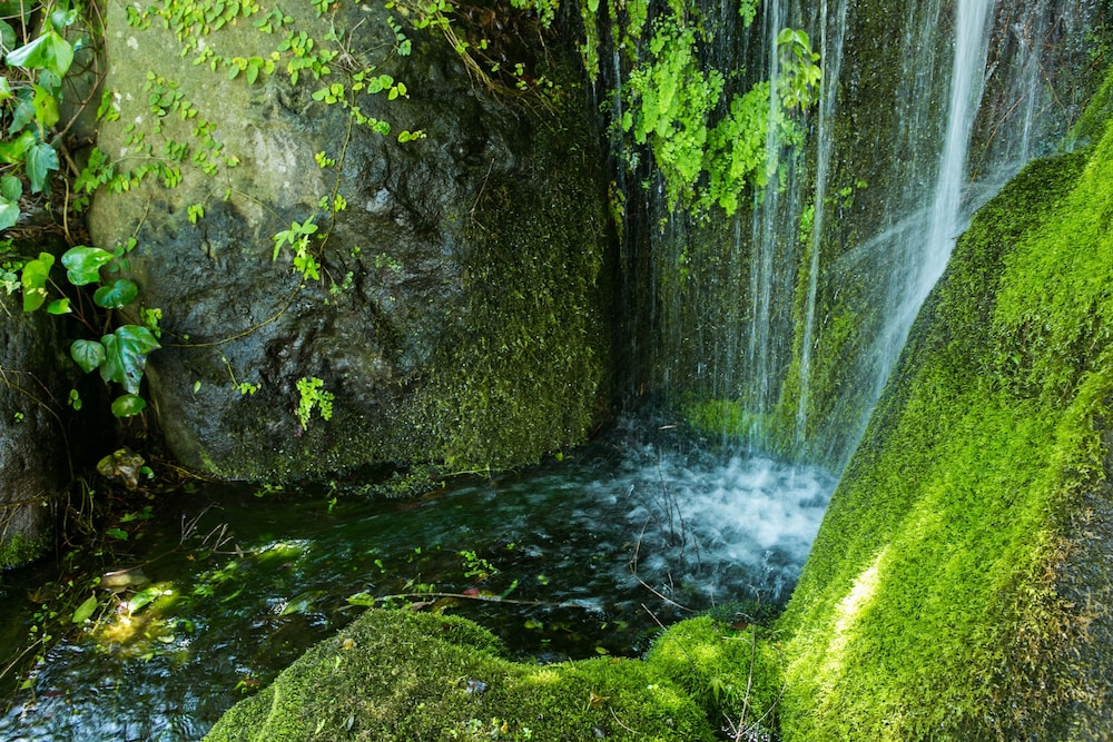 ゆがわら万葉荘 箱根