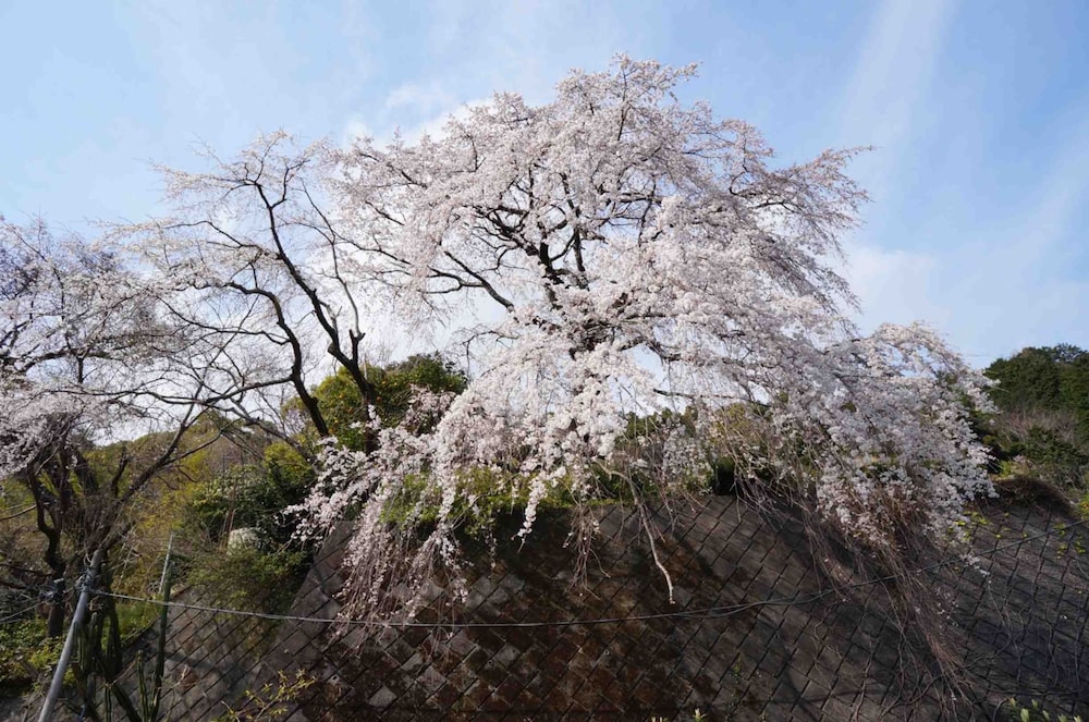 アポロ荘 箱根