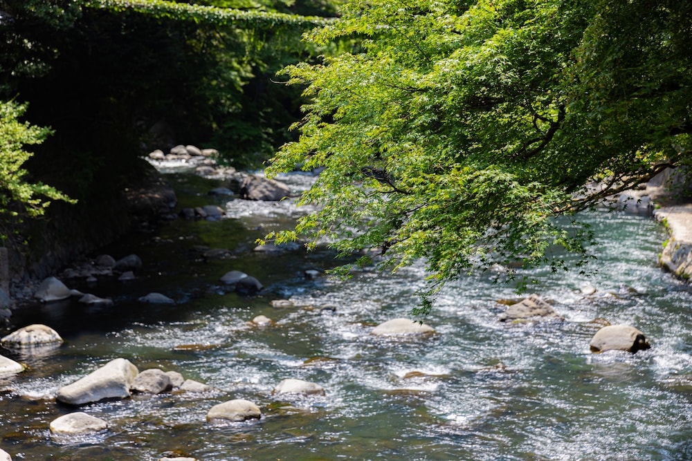 塔ノ沢一の湯 本館 箱根