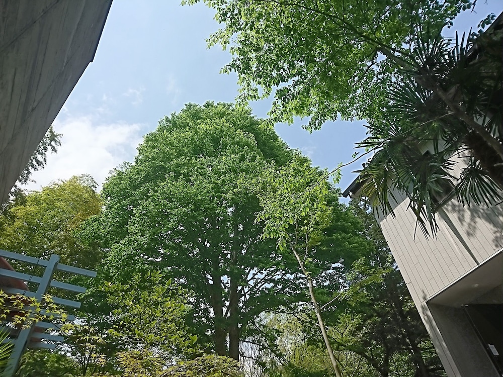 箱根 杜の宿 箱根