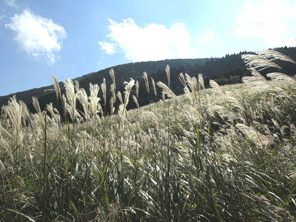 箱根仙石原温泉旅館 万寿屋 箱根