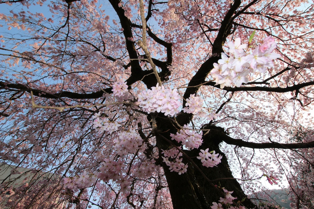 大正モダンヴィラ 禅 箱根