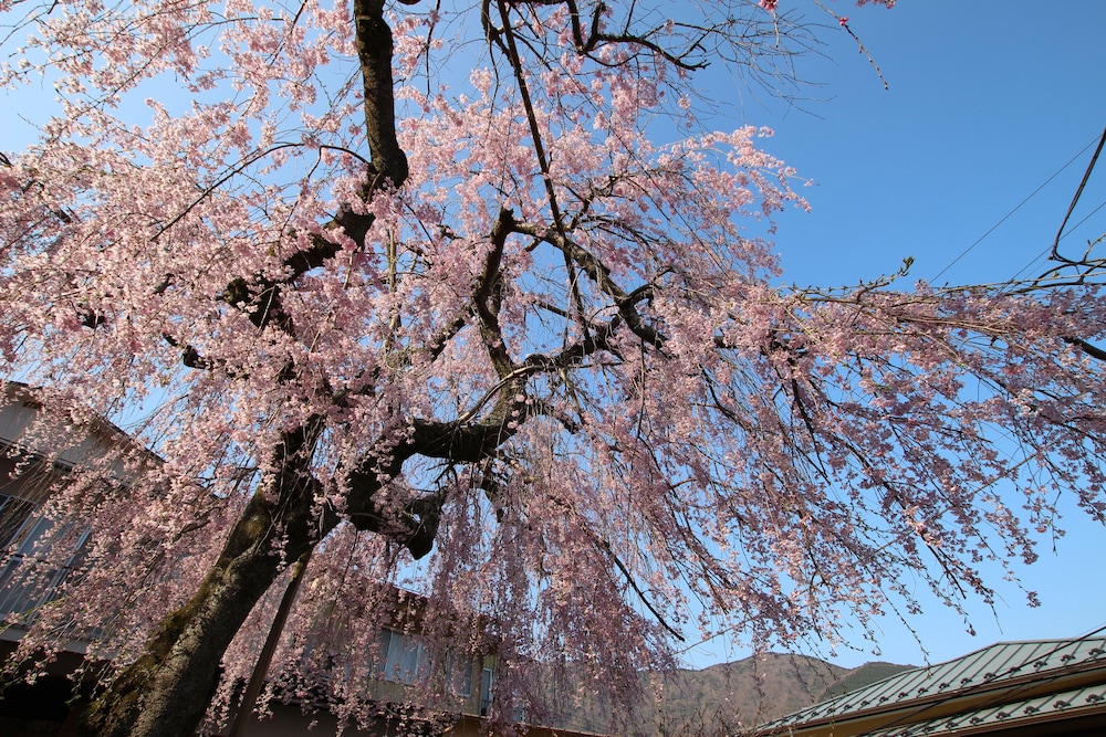 大正モダンヴィラ 禅 箱根
