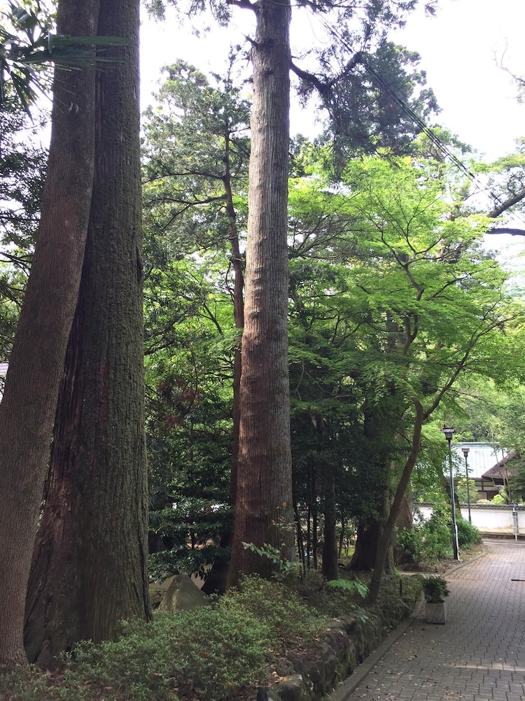 ますとみ旅館 箱根