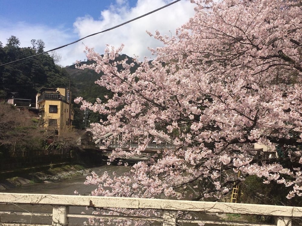ますとみ旅館 箱根