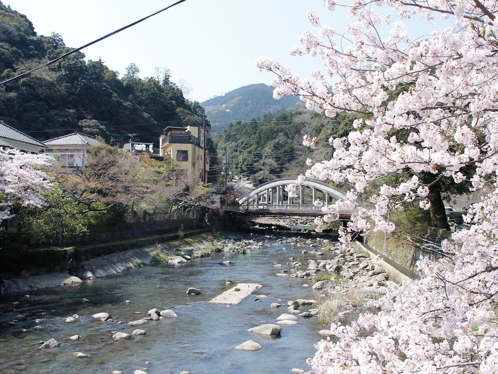 ますとみ旅館 箱根