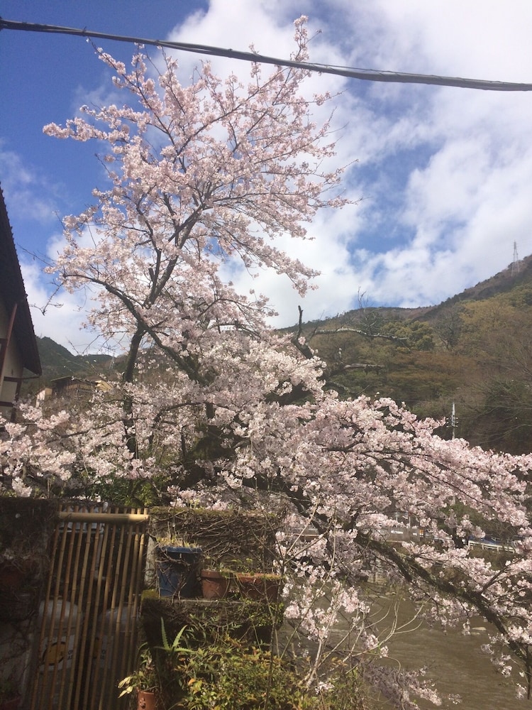 ますとみ旅館 箱根