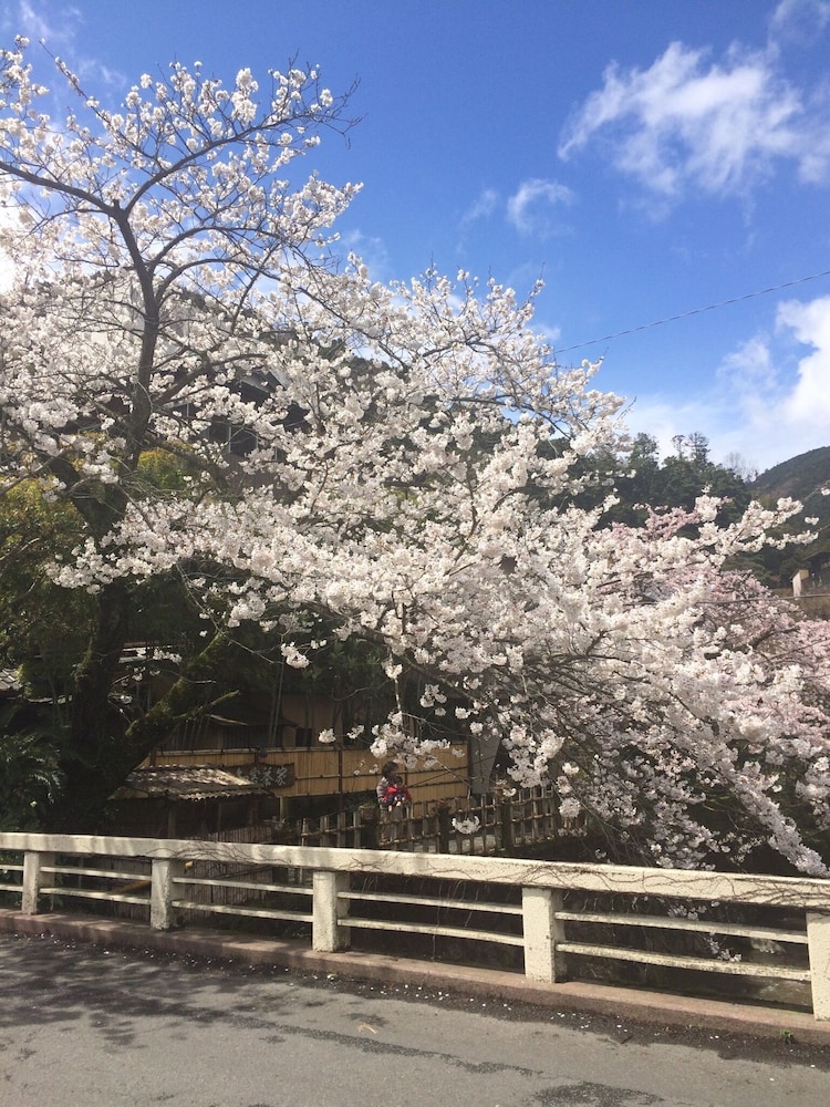 ますとみ旅館 箱根