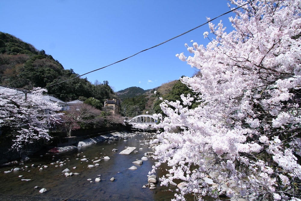 ますとみ旅館 箱根