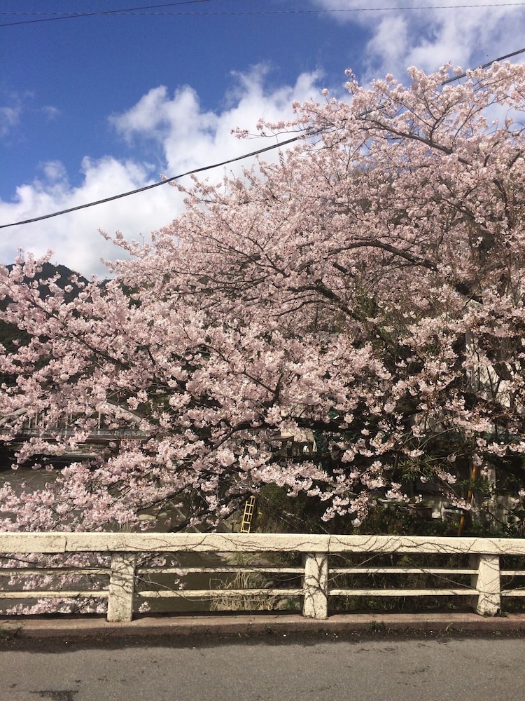 ますとみ旅館 箱根