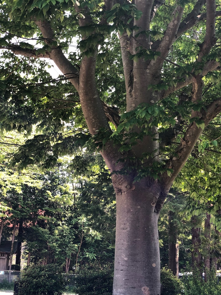 箱根久織亭 箱根